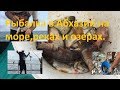 Рыбалка в Абхазии на море, в реках и озерах.Какая рыбалка есть в Абхазии г.Пицунда,видео с рыбалок.