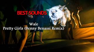 Project X The Real Soundtrack - Wale - Pretty Girls (Benny Benassi Remix)