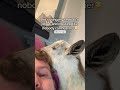 Loud much😂 but super peaceful💕🥹 #loud #peaceful #asmr
