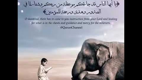 تلاوة هادئة....15 ثانية
