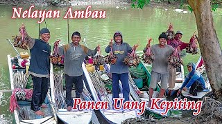 Part 2 | Nelayan Ambau | Lihat Hasil Tangkapan & Penjualan Kepiting