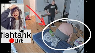 Information Fishtank Fatty Breaks Josie's Bed Update