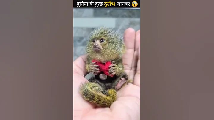 5 Amazing animals on earth #shorts #animals # cute animals # creatures #discovery