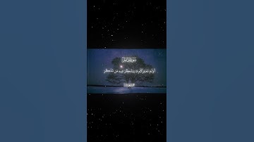 سورة فاطر|37|القارئ:#محمد_اللحيدان #قران #quran #راحة_نفسية #قران_كريم #تلاوة_هادئة #آية#تلاوة_خاشعة