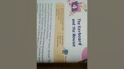 Class 2nd |Chapter 4 : The Keyboard & The Mouse (Part 1)