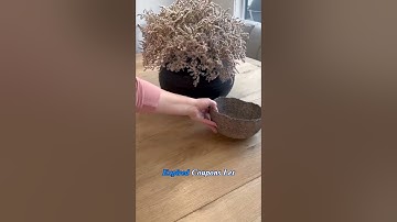 How I Quickly Declutter My Bag Every Friday - Declutter Revolution