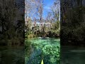 Embark on an unforgettable eco adventure in a fully transparent kayak at Silver Springs in central