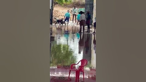 *ఉప్పరపల్లి గ్రామం అనంతపురం జిల్లా లో సీనియర్ విభాగం కోర్టు ఇది అన్నలు*⛳⛳⛳⛳⛳⛳⛳⛳⛳⛳