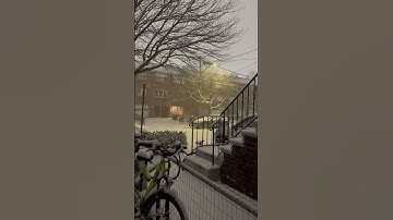 how to video,relaxing snowfall video,how to add snow effect in video,calming snowfall #meltingsnow❄️