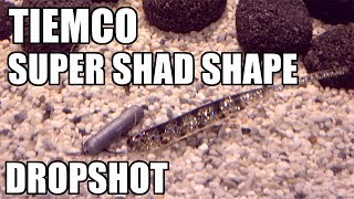 TIEMCO: Super Shad Shape! Lure action on a Dropshot Rig! Underwater! Full HD
