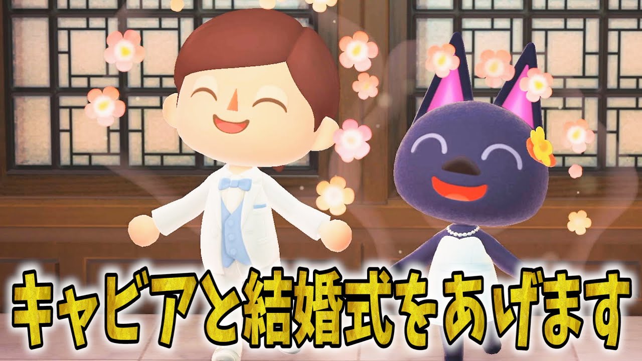 あつ森 キャビアと結婚式を挙げることになりました あつまれどうぶつの森 Youtube