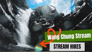 Ultimate Hong Kong summer hike: Sheung Luk stream (6km trail)