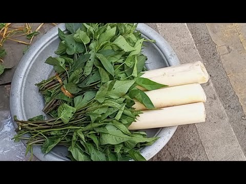 গরীবের Cooking thrills 🤣 | BuGuLi diye DaL ranna | #বুগুলি #কলা গাছ # ...