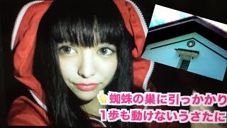 【不思議】何十年前からある蔵が解禁されたので宝探ししたら予想外すぎた！