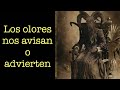 LOS OLORES NOS AVISAN O ADVIERTEN