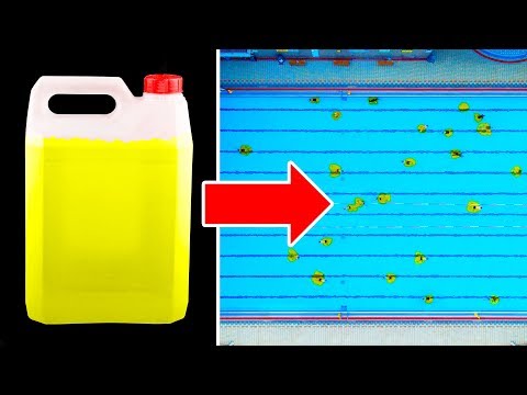 Video: Was passiert, wenn Hunde aus einem chlorierten Pool trinken?