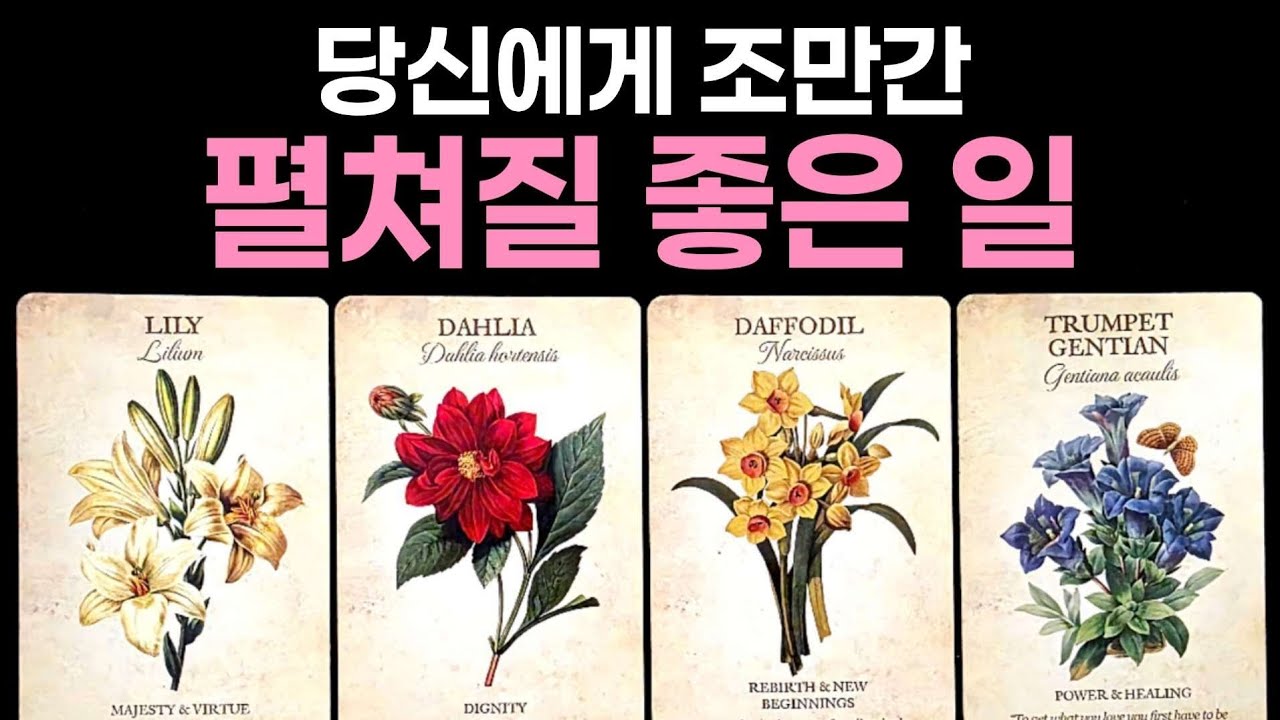 [타로] 당신에게 조만간 펼쳐질 좋은 일🌹