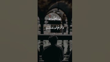 وَأَقَامُوا الصَّلَاةَ || سورة الشورى || علي جابر