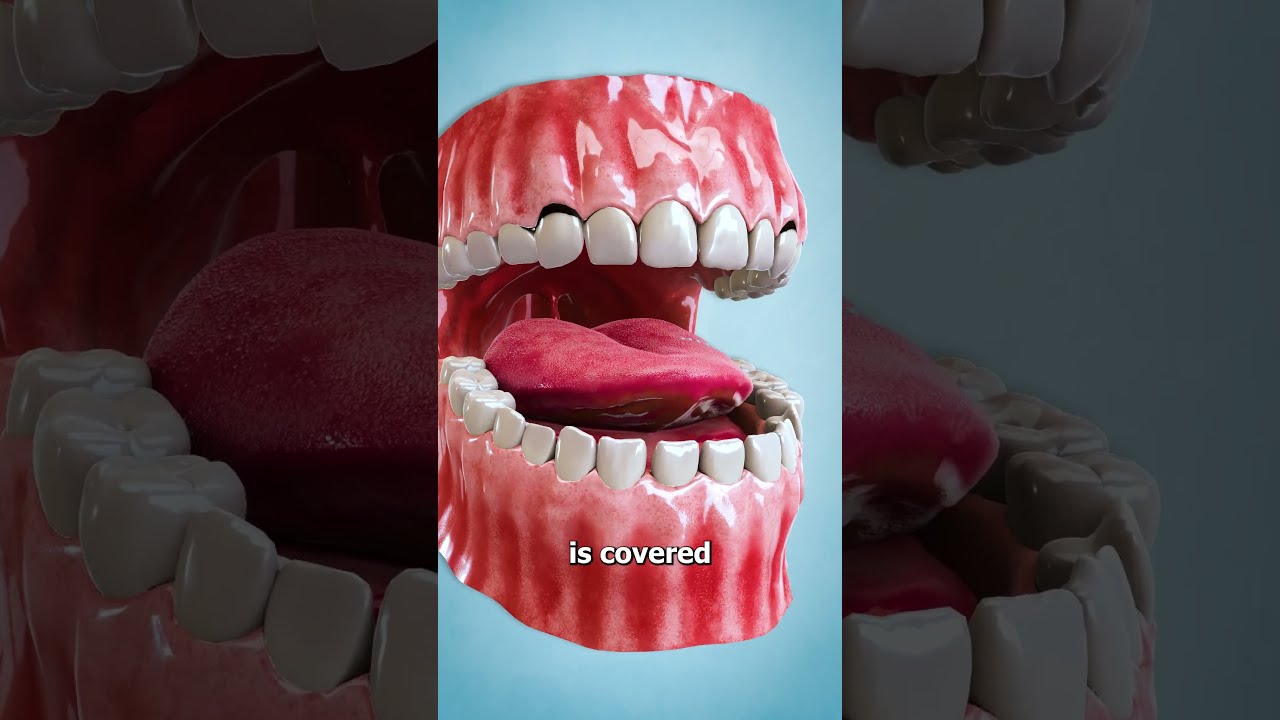 Why Food Tastes Bad After Brushing Your Teeth 