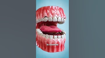 Thumbnail of Why Food Tastes Bad After Brushing Your Teeth 😨