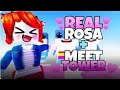 Meet realrosa tower gameplay