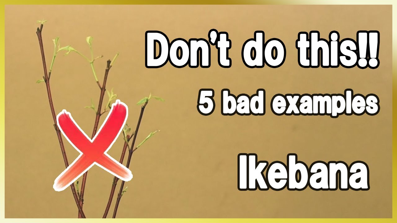 Ikebana Tutorial | Manners in Ikebana | Learn the Manners You Will Need