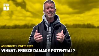 Wheat: Freeze Damage Potential? | Beck's Agronomy Update