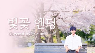 【PLAVE플레이브】 예준 - 櫻花結局( 벛꽃 엔딩 Cherry Blossom Ending ) (Covered by. Yejun)| 繁中韓字 Resimi