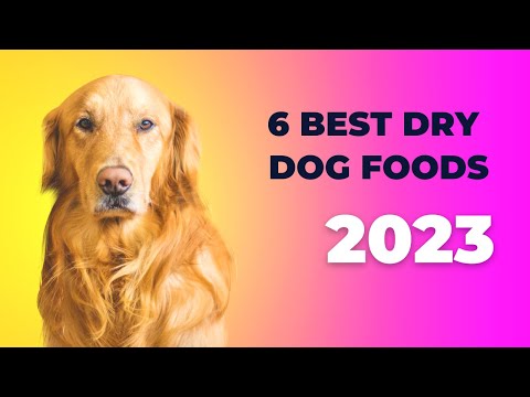 Top 6 Best Dry Dog Food 2023