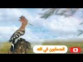 وتفقد الطير رائعه الشيخ ممدوح عامر mp3