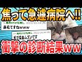 【猫おもしろ】ドクターに言われた衝撃的な言葉【2ch面白いスレ】