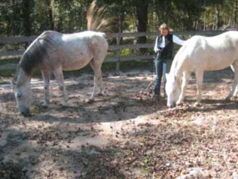 Leslie Anne Webb visits Habitat for Horses Ranch