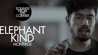 Elephant Kind - Montage | Sounds From The Corner Session #26