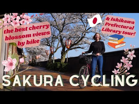 Japan Cycling & Ishikawa Prefectural Library Tour in Kanazawa 🌸📚 Sakura Cherry Blossoms by Bike!