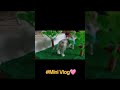 #minivlog #vlogoftheday #scienceproject #whatsapp_status #creativity #englishvlog #native #trend