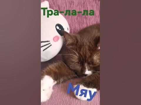Я няшка - YouTube