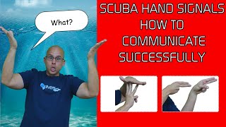 SCUBA Diving Hand Signals Every Diver Should know