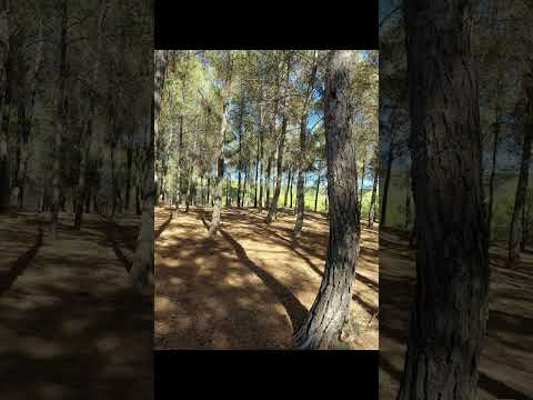 قرب هلاك العارض