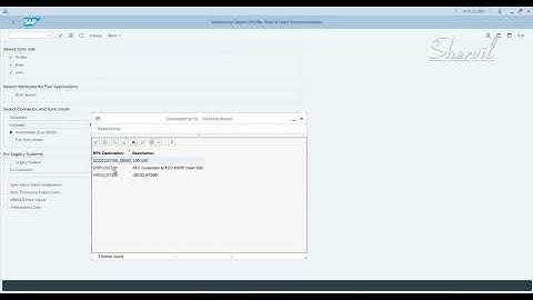 8. SAP GRC - EAM - Repository Sync Job
