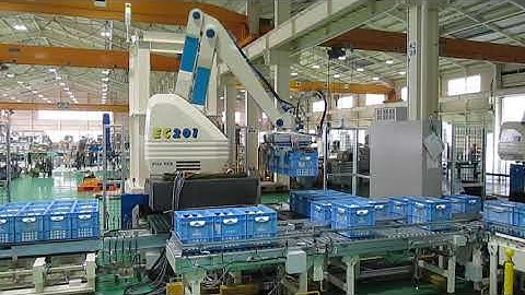 Plastic Crate palletizing 2 In 2 Out