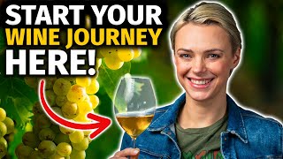 Beginner's Guide to WINE: 7 Expert TIPS to Start & Elevate Your WINE JOURNEY by No Sediment 4,105 views 2 months ago 10 minutes, 59 seconds