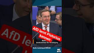 AfD-Zirkus lernt Pistorius kennen AfD-Zirkus lernt Pistorius kennen