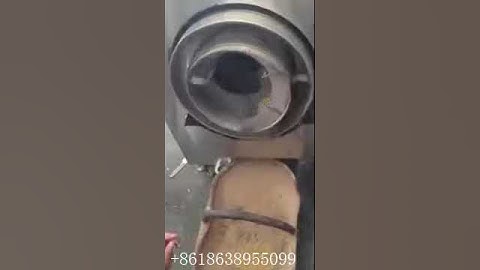 DYC continuous electric roaster soybean roasting machine whatsapp: +8618638955099