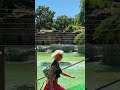Seehunde im Berliner Zoo!