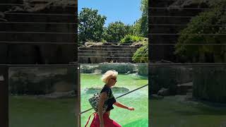 Seehunde im Berliner Zoo!