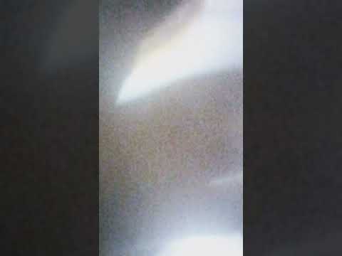 17 June 2026