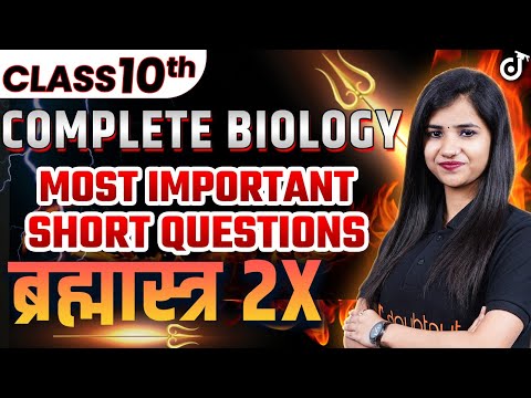 ผลสลากกินแบ่งรัฐบาล วันที่ 1 พย. 2567 ผลสลากกินแบ่งรัฐบาล วันที่ 1 พย. 2567