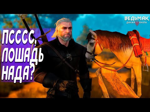 Наша Кляча, все варианты прохождения квеста скрытые квесты Оксенфурт | Скрытые квесты Ведьмак 3