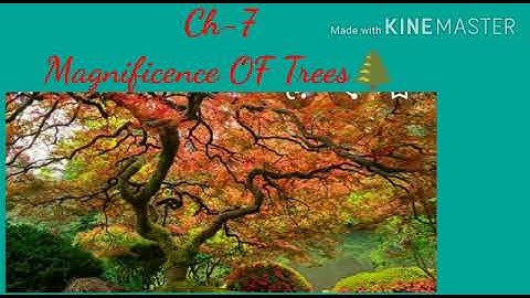 Class-5/EVS/RBSE/ Ch-7/Magnificence of trees