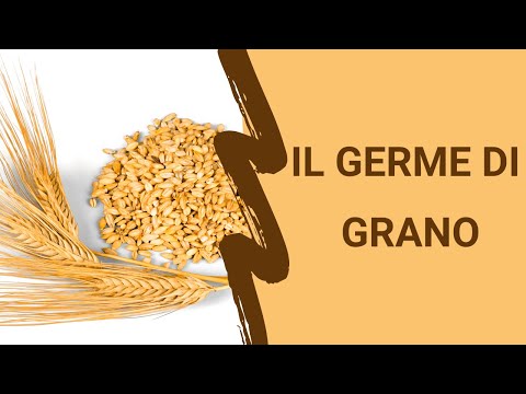 Video: Germe Di Grano: Come Può Giovare Alla Tua Salute?